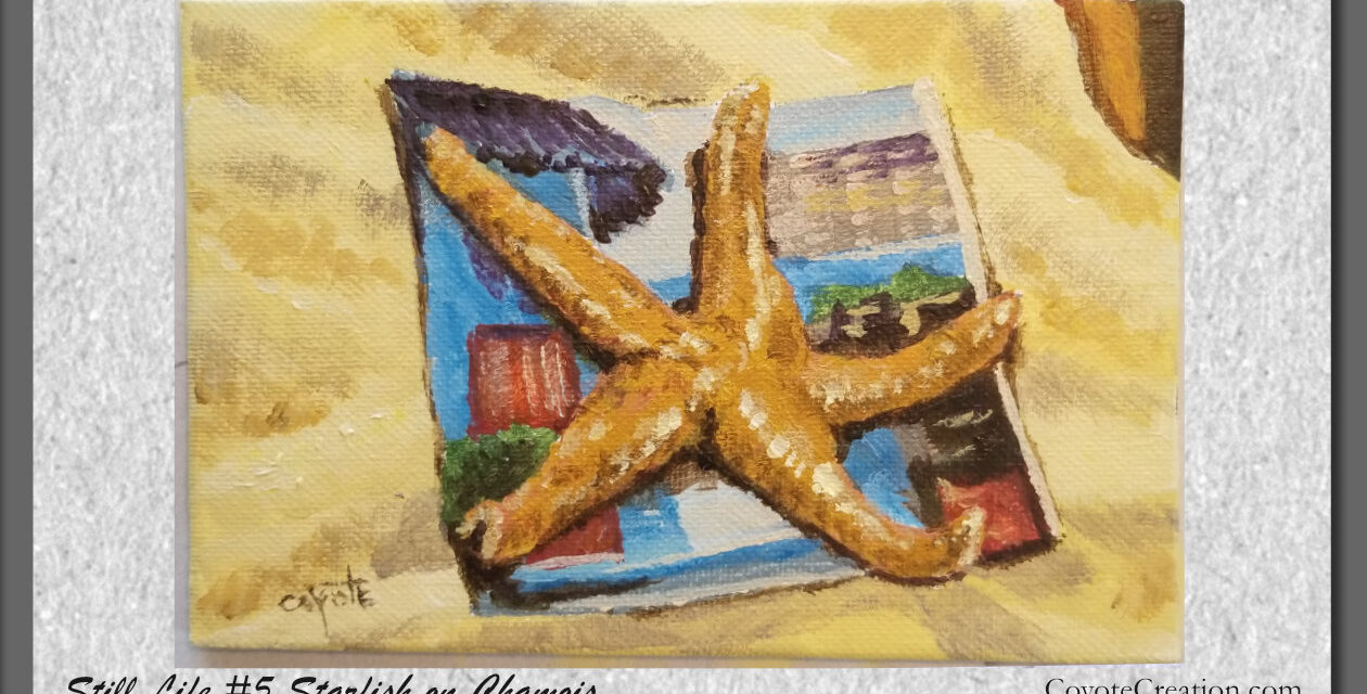 Painting Exercise – Still Life #5 Starfish on Chamois