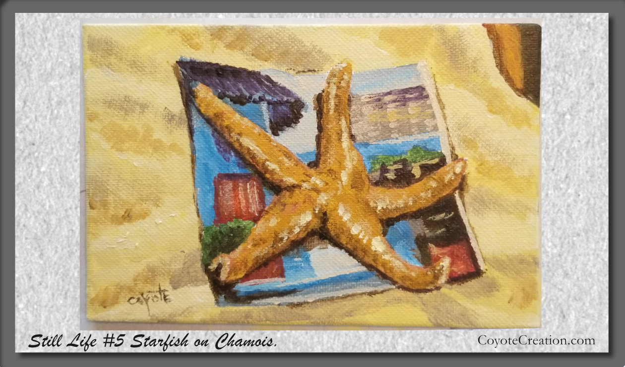 Painting Exercise – Still Life #5 Starfish on Chamois